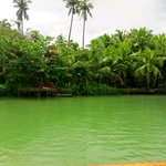 22女 두명의 15박 17일 필리핀 여행기!