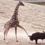 그래 그 <b>민우</b>놈이 여기잉네