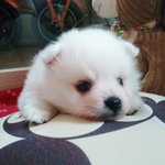 ★★★★★★행복이의 행복한(?) 자취방<1탄>★★★★★★