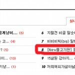 [<b>new</b>물고기판] 들어는봤나! 판타스틱하고 아름다운 물고기판 2