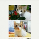 쫄랑이의 하루♡