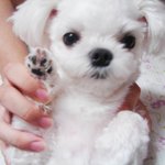 사랑스런 아이~