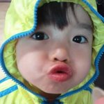 제 사촌 동생 어떤가효?ㅎㅎ (사진有)