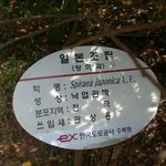 어제 수목원에갔는데 <b>식물</b>이름이ㅋㅋㅋㅋ