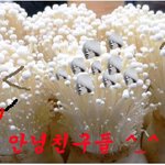 ★★오랜만에왔네요<b>엽사</b>공유하러왔습니다★★