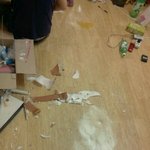 ★악마견같은 우리 말티 <b>아돌</b>이★