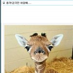 길지만빵터지는미친댓글112ㅋㅋㅋㅋㅋㅋㅋㅋㅋㅋㅋㅋㅋㅋㅋㅋㅋ