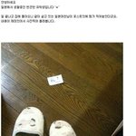 <b>열도</b>의 흔한여자친구.jpg흔남형쏘리 ㅋ