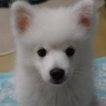 ★★★행복이의 행복한(?) 자취방 <2탄>★★★