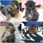 남친등골브레이커@5 합이 @일곱♥되었어용 (끗)