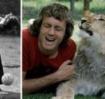 <b>동물</b>들의슬프고재미있는감동이야기