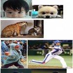 댓녀가 가져오는 공감 !!