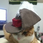 장화신은 고양이 코스<b>프래</b>~~ㅎ