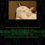 <b>중앙</b>일보 왜이럼? ㅋㅋㅋㅋㅋㅋㅋ
