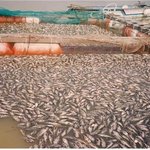 한국수자원공사의 남강댐 <b>방류</b>로 인해 수억의 피해를 입은 어민의 아들입니다...