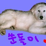 ☆★ 감동을 준 순<b>돌이</b> ★☆