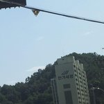 지치고 힘든 인슾님들 내 품에