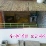 ♡<b>대두</b>,산만이,찌질이육아일기♡6탄!!!