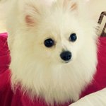 >>> 한글  세종대왕 [11탄!!!] <<<