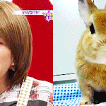 [단독] 샤이니 온유 팀탈퇴와 <b>솔로음반</b> 준비중