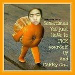 귀여운 귤 나의 <b>모미</b>♥