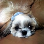 우리집엔 <b>베스</b>킨&amp;라빈스가 있어요.