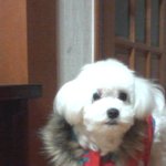 (수정)★★똥꼬<b>발랄</b>한 우리 희망이★★