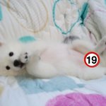 ★★★행복이의 행복한(?) 자취방 <3탄>★★★