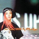 지드래곤 <b>미역</b>머리