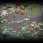 24가지 황금의 규칙 <b>준수</b>하여 인간관계 성공 