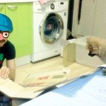 ★★★(<b>포메</b>)밤톨이 이야기 2탄 - 스텝 만들기★★★