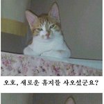 새로운 휴지를 사오셔꾼요 ㅋㅋㅋㅋㅋ