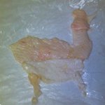 <b>닭살</b>로 만든 닭