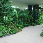 여수박람회 기업관 대세! : <b>lg</b>전시관 방문기