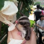 우리집은 <b>동물원</b>이에용♥♥