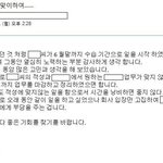 (내용추가) 이메일로 퇴사통보받음ㅡㅡ