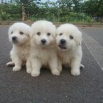 ♡대두,산만이,찌질이육아일기♡7탄 !!!