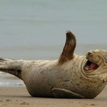 부산 바다로 떠난 4명의 인천 여자들!(사진잔뜩^,~)