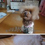 ★<b>역전</b>야매요리를 품은 <b>역전</b>야매미용!★