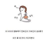 여자의 명품백...그리고 <b>실사</b> 앵그리버드