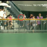 사직구장 외야 노란바 맞으면 <b>홈런</b>인가요?