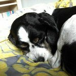 경기도 <b>일산</b>사시는 분들 꼭 한번좀 봐주세요!!!