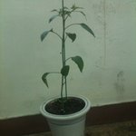 (사진有)★★★못말리는훈남사장님2탄★★★