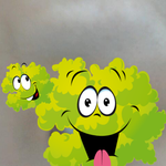 ★★(사진有)눈썹을밀었어요★★