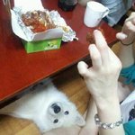 아....<b>하나쯤</b>은 떨어뜨리겠지...............