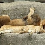 가족들을 위해 여름몸보신 음식 뭐하세요? ㅇ_ㅇ