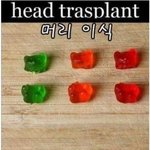 [혐오주의] <b>신체</b>이식