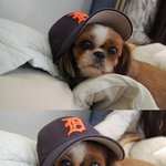 (사진有재석) 우리 <b>막내딸들</b>을 소개합니다♥