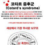 걸어다니는 시체, 코타르증후군
