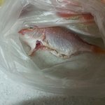 졸지에 나쁜엄마가 되었네요............